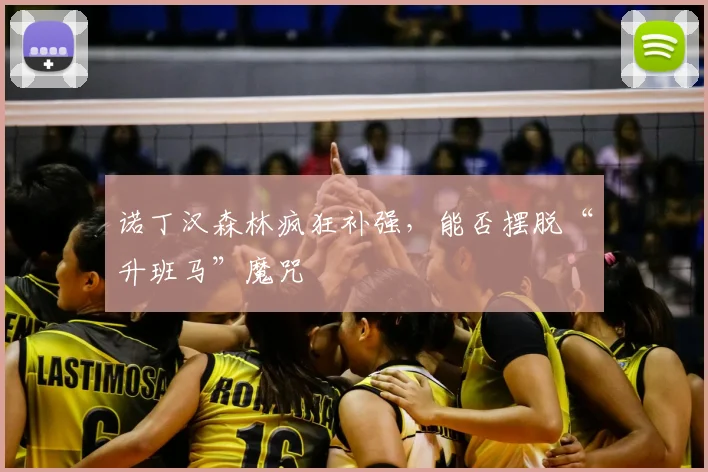 诺丁汉森林疯狂补强，能否摆脱“升班马”魔咒
