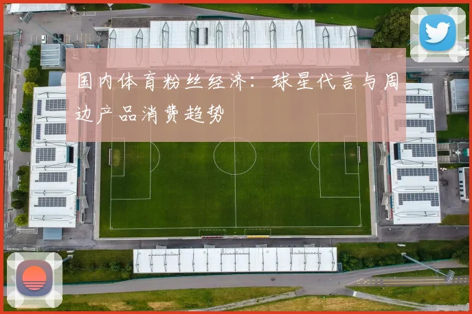 国内体育粉丝经济：球星代言与周边产品消费趋势