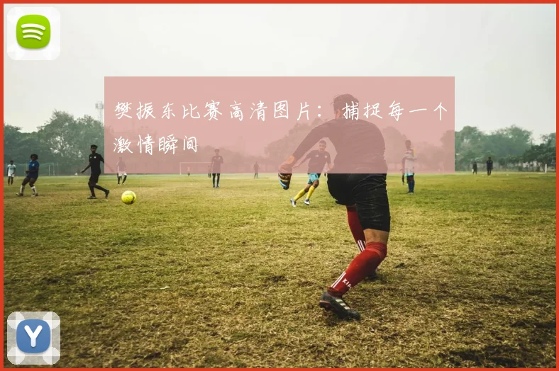 樊振东比赛高清图片：捕捉每一个激情瞬间