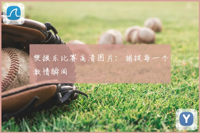 樊振东比赛高清图片：捕捉每一个激情瞬间