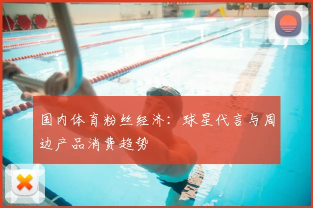 国内体育粉丝经济：球星代言与周边产品消费趋势